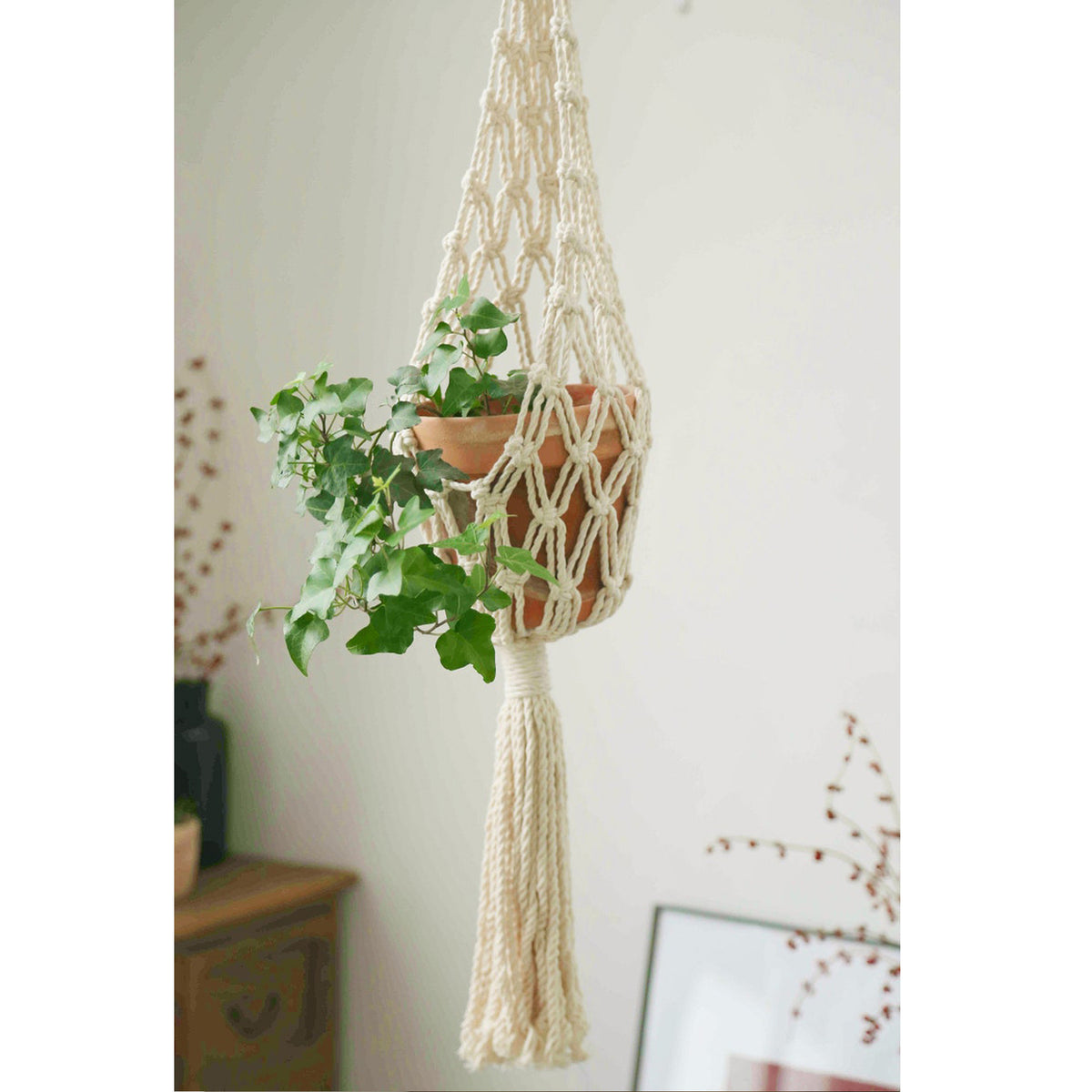 Nordic Plant Hanging Basket Tapestry Bohemian Decor