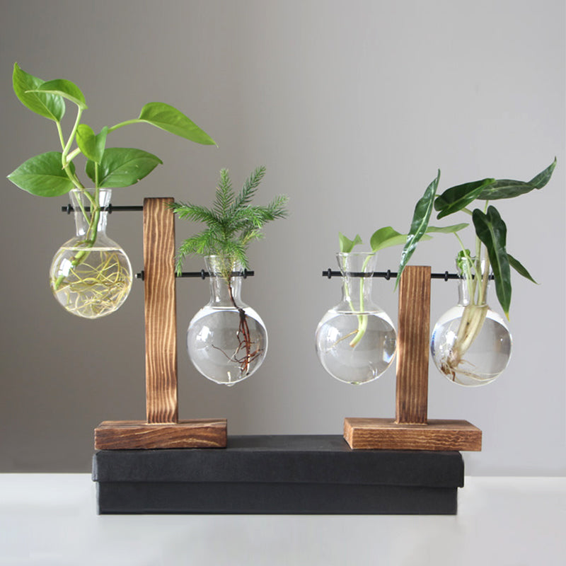 Vintage Glass Hydroponic Terrarium Plant Vase Decor