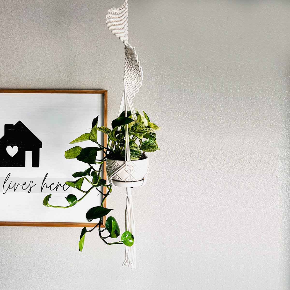Nordic Plant Hanging Basket Tapestry Bohemian Decor