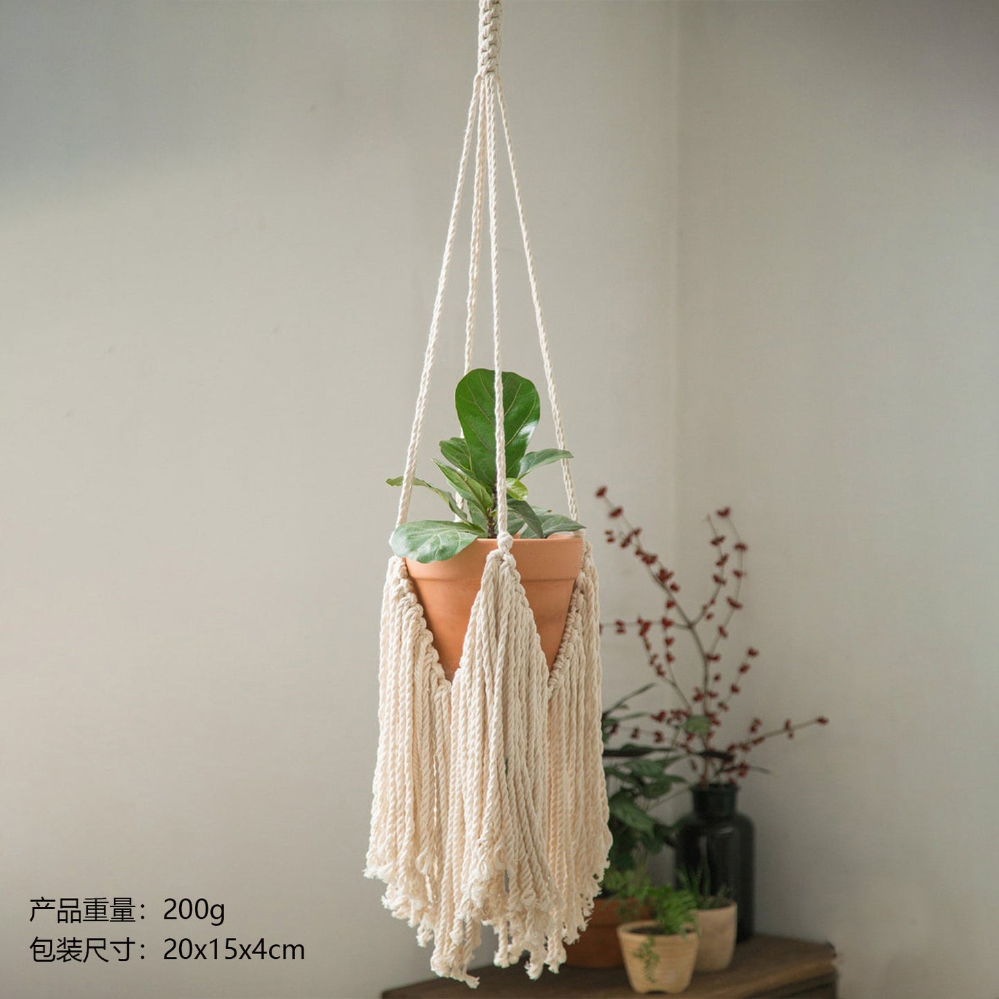 Nordic Plant Hanging Basket Tapestry Bohemian Decor