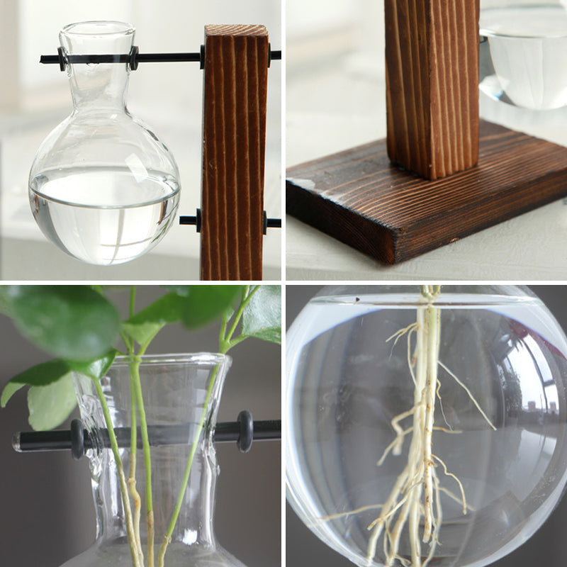 Vintage Glass Hydroponic Terrarium Plant Vase Decor