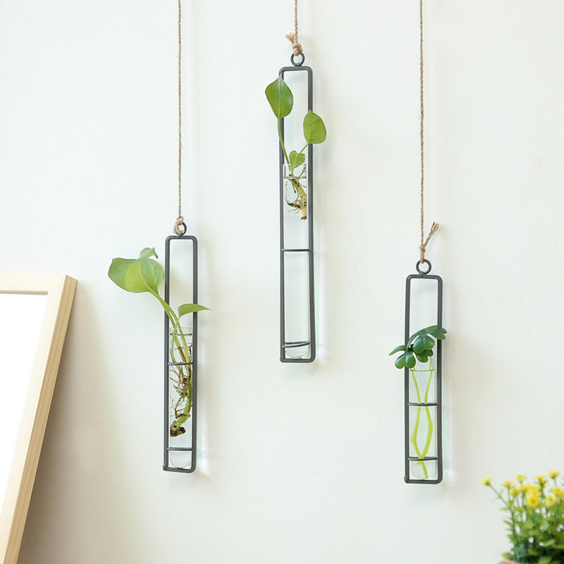 Plant Hydroponic Container and Decorative Hanger