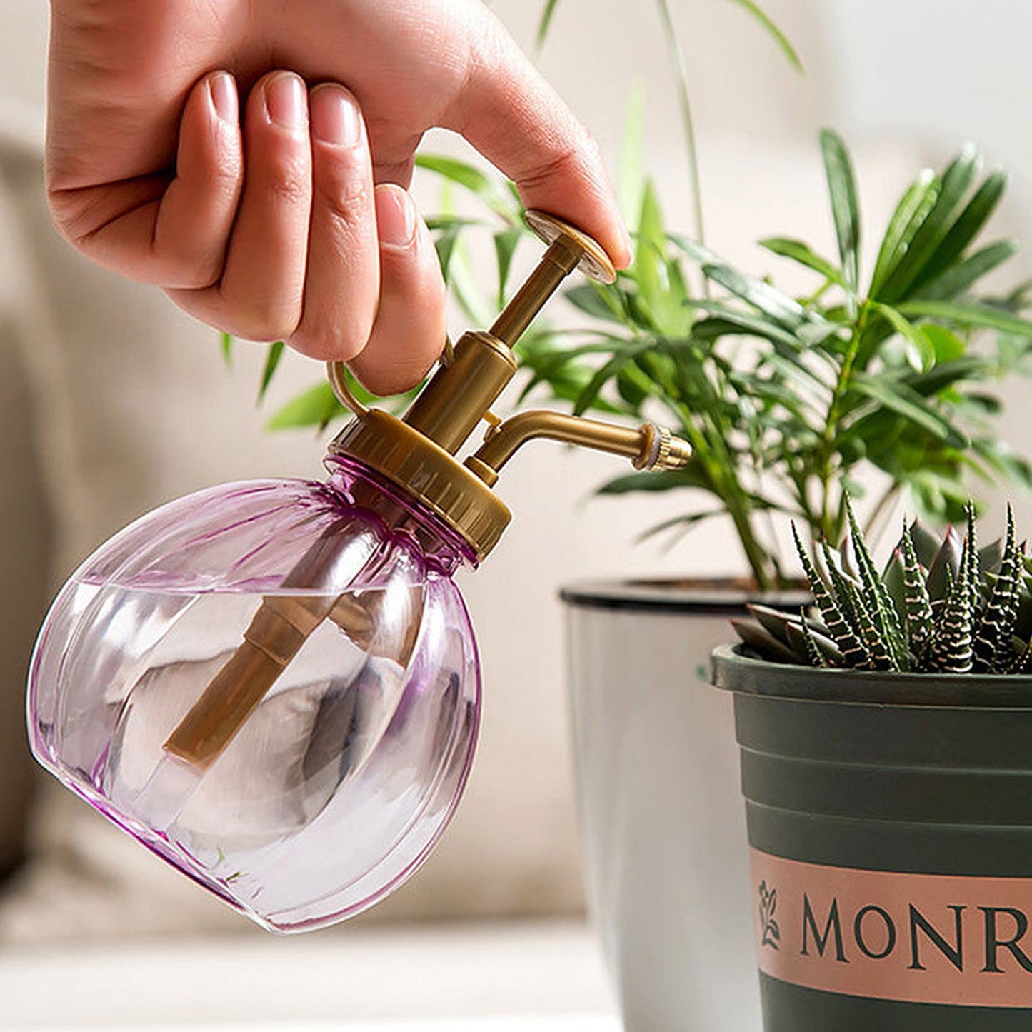 Plant Flower Watering Spray Bottle for Succulents