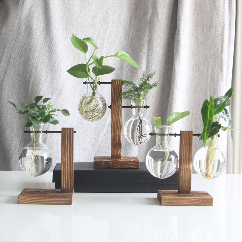 Vintage Glass Hydroponic Terrarium Plant Vase Decor