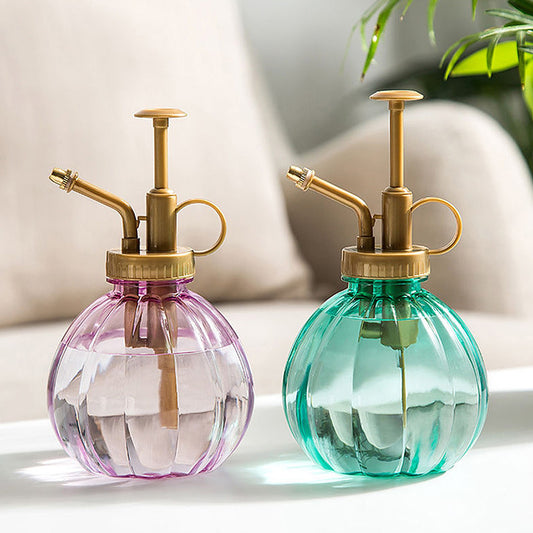Plant Flower Watering Spray Bottle for Succulents