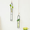 Plant Hydroponic Container and Decorative Hanger