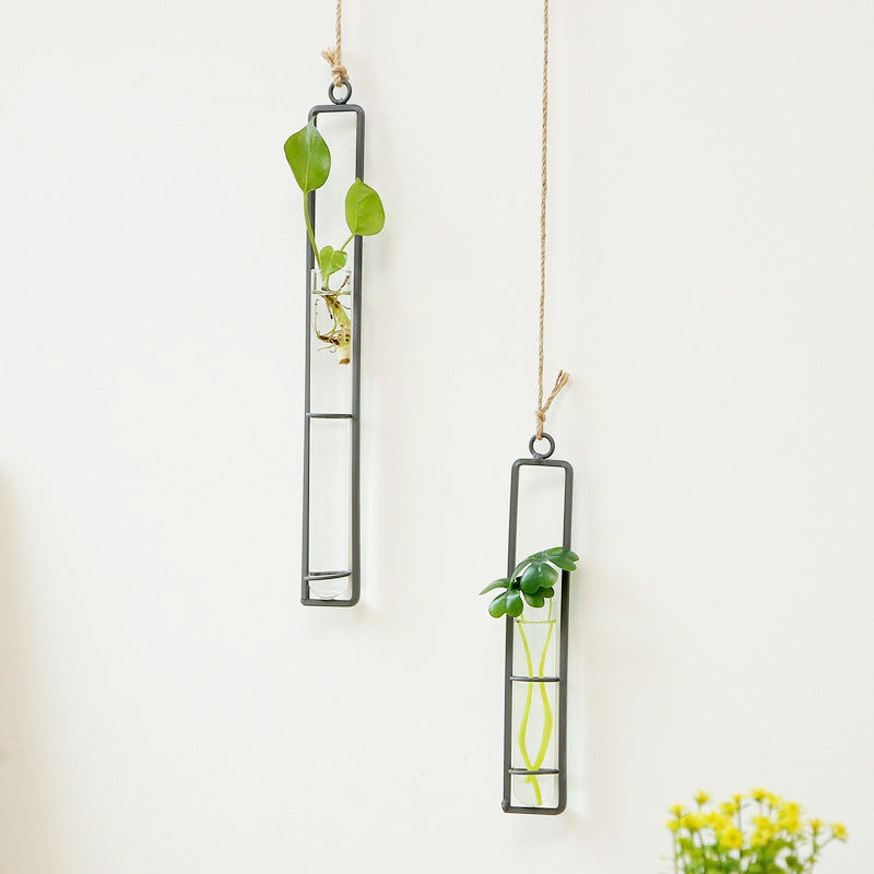Plant Hydroponic Container and Decorative Hanger