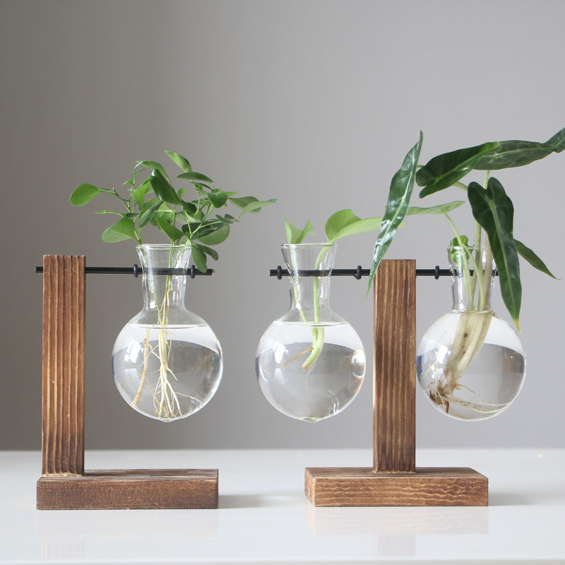 Vintage Glass Hydroponic Terrarium Plant Vase Decor