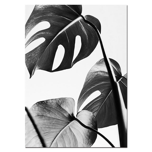 Modern Minimalist Black and White Plant Wall Art