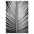 Modern Minimalist Black and White Plant Wall Art