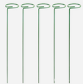 Metal Plant Support Stand for Indoor Gardening