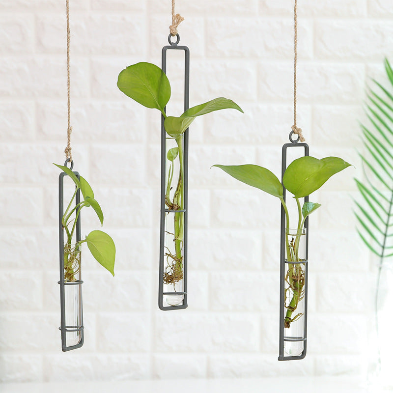 Plant Hydroponic Container and Decorative Hanger