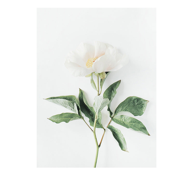 Modern Art Abstract Plant Watercolor Poster Print