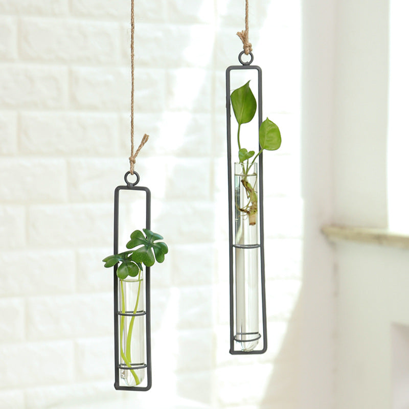 Plant Hydroponic Container and Decorative Hanger