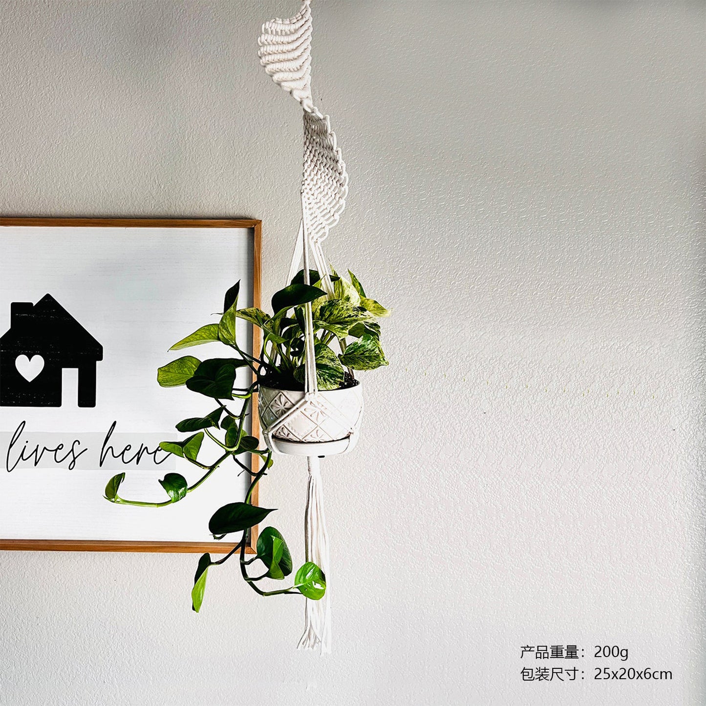 Nordic Plant Hanging Basket Tapestry Bohemian Decor