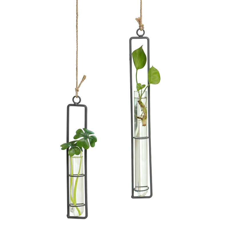 Plant Hydroponic Container and Decorative Hanger