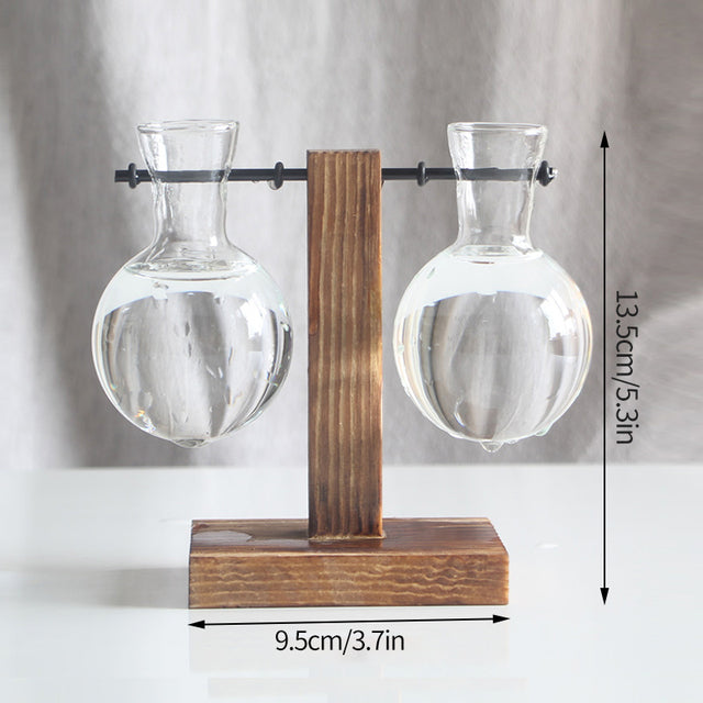 Vintage Glass Hydroponic Terrarium Plant Vase Decor